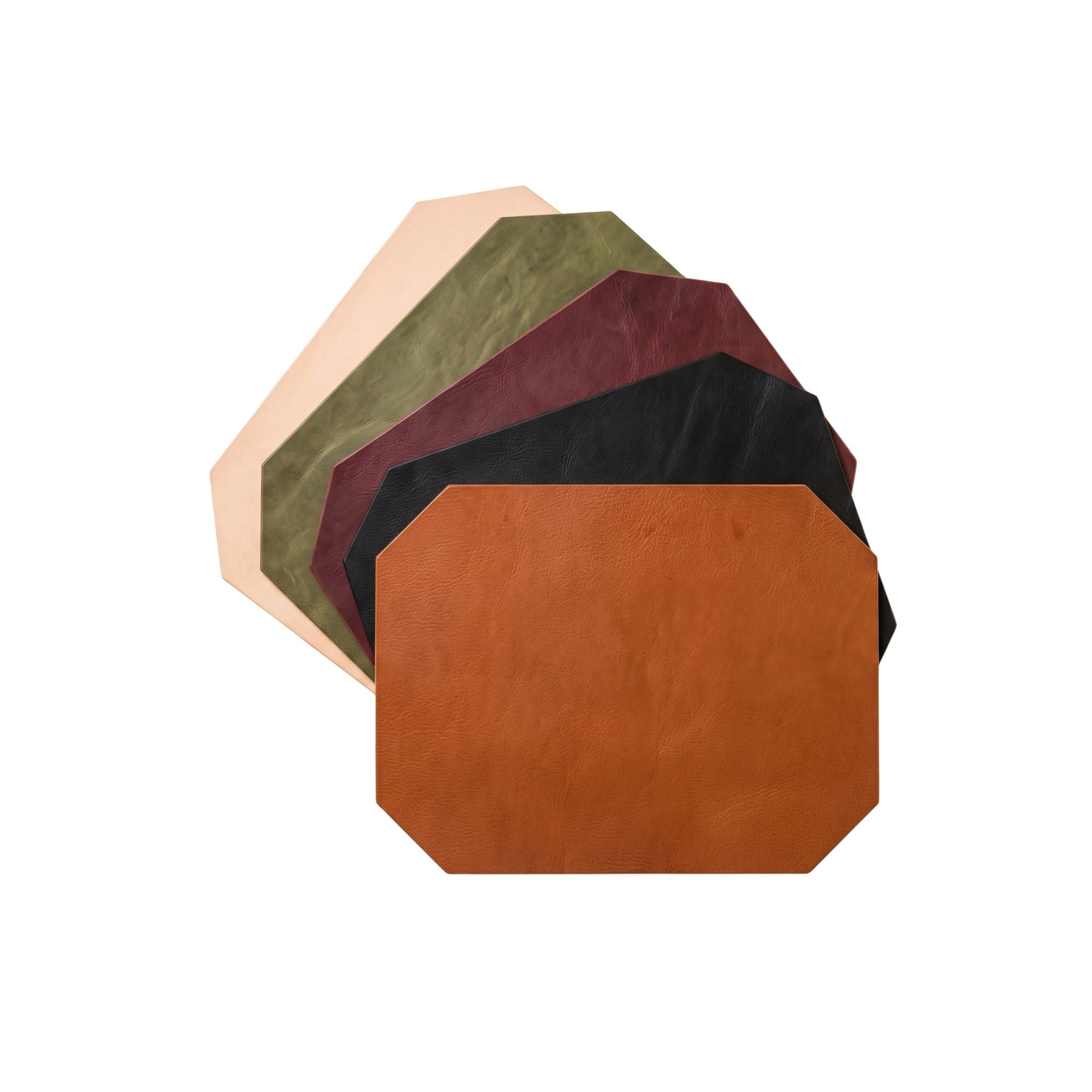 Leather Desk Set | Mystery Color